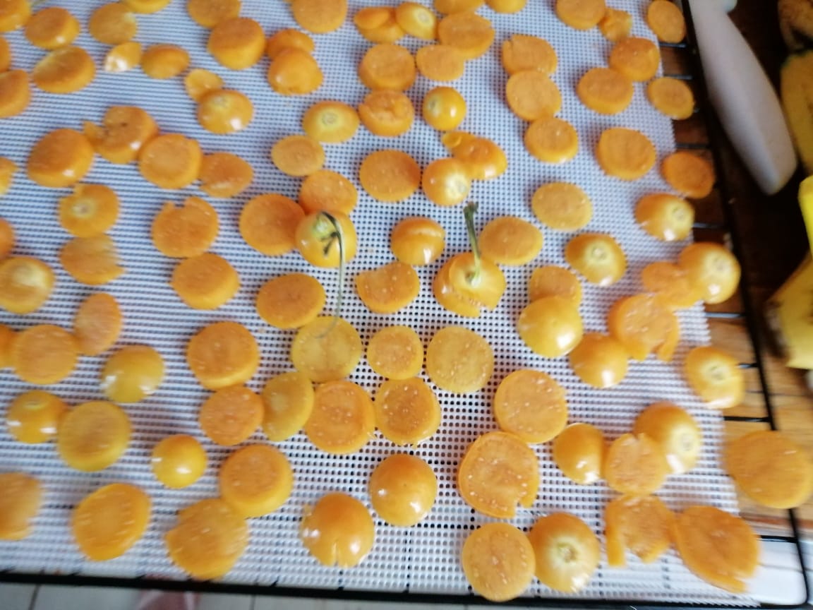 Fruta deshidratada Dorado División